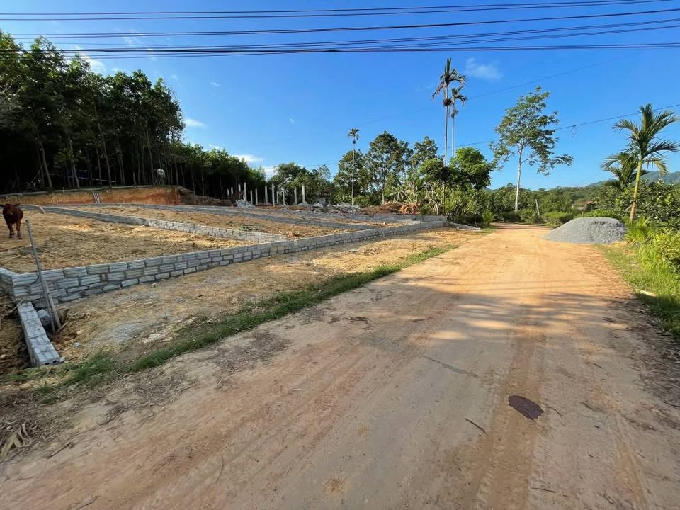 Đất thổ cư Xuân Viên, Yên Lập 157m² giá chỉ 199 triệu - Cơ hội đầu tư tuyệt vời!