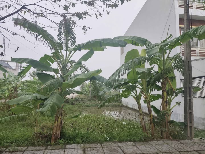 Đất nền lô góc 3 mặt tiền phường Quảng Phú 110m² giá 2.69 tỷ - Đầu tư sinh lời hấp dẫn!