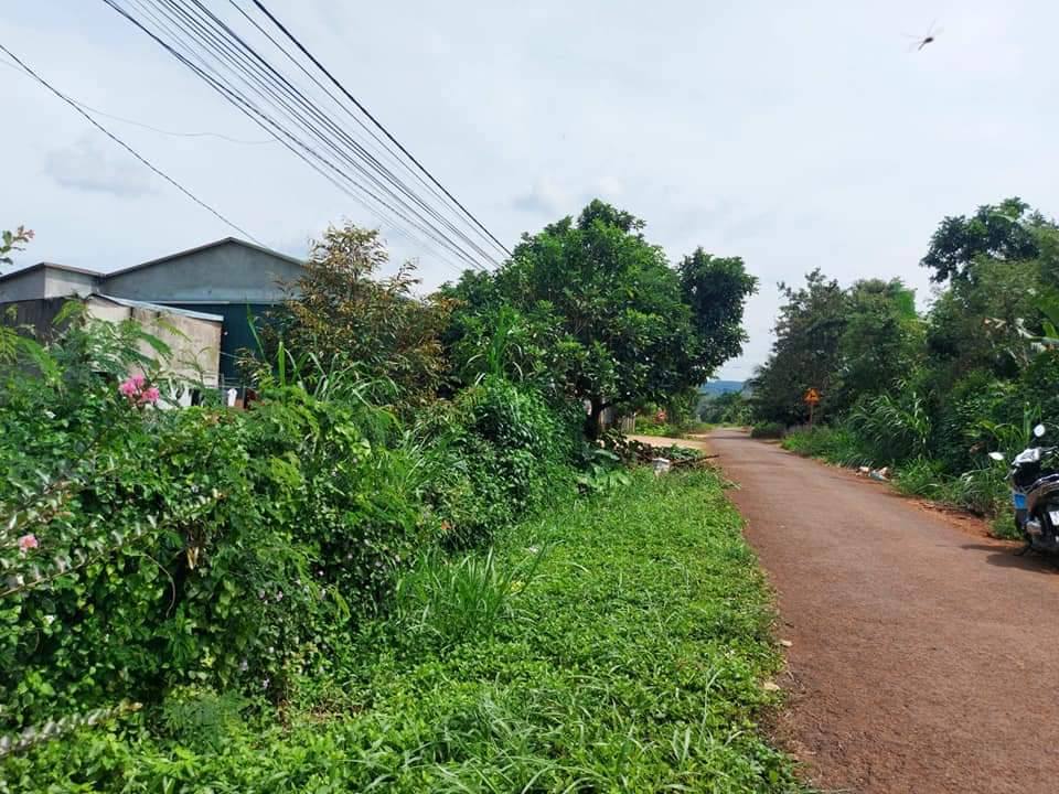 Đất mặt tiền đường nhựa xã Ea Tar, Cư M'gar 408m² giá 800 triệu - Sổ đỏ chính chủ