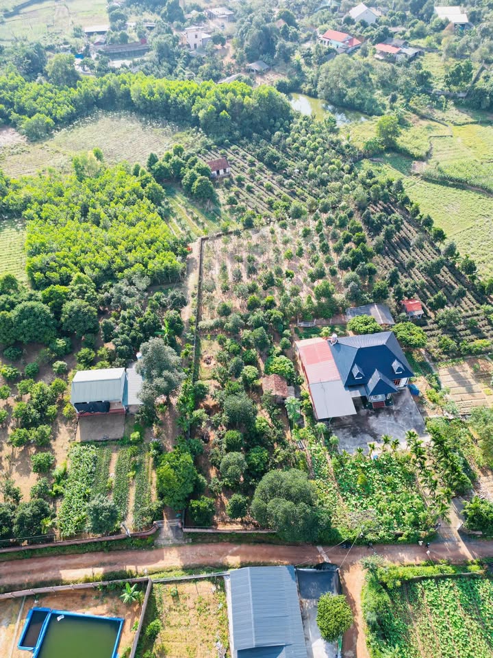 Đất ở Cẩm Lĩnh, Ba Vì 1680m² giá chỉ 5.04 tỷ - Mặt tiền rộng, view đồng đẹp!