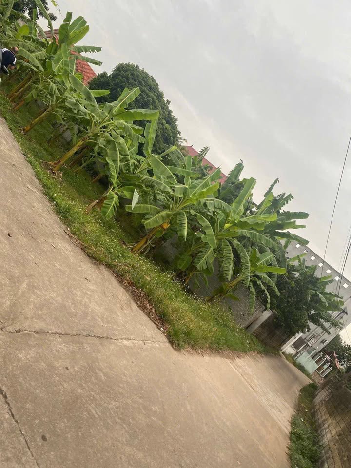 Đất nền Hiệp Hòa Bắc Giang 170m² giá 700 triệu - Đầu tư sinh lời ngay!