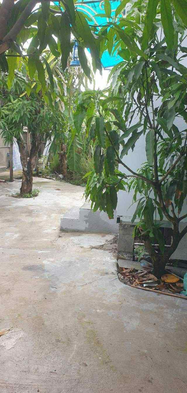 Nhà nguyên căn Phú Tài 99% mới - Chỉ 1.6 triệu/tháng, sân vườn mát mẻ!