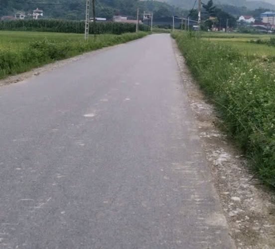 Đất sản xuất kinh doanh 1000m² xã Dân Tiến, giá chỉ 1 tỷ - Cơ hội đầu tư tuyệt vời!