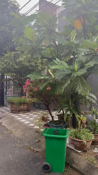 Đất nền mặt tiền đường Bàu Mạc 3, Đà Nẵng 148.5m² giá 7 tỷ - Đầu tư sinh lời ngay!