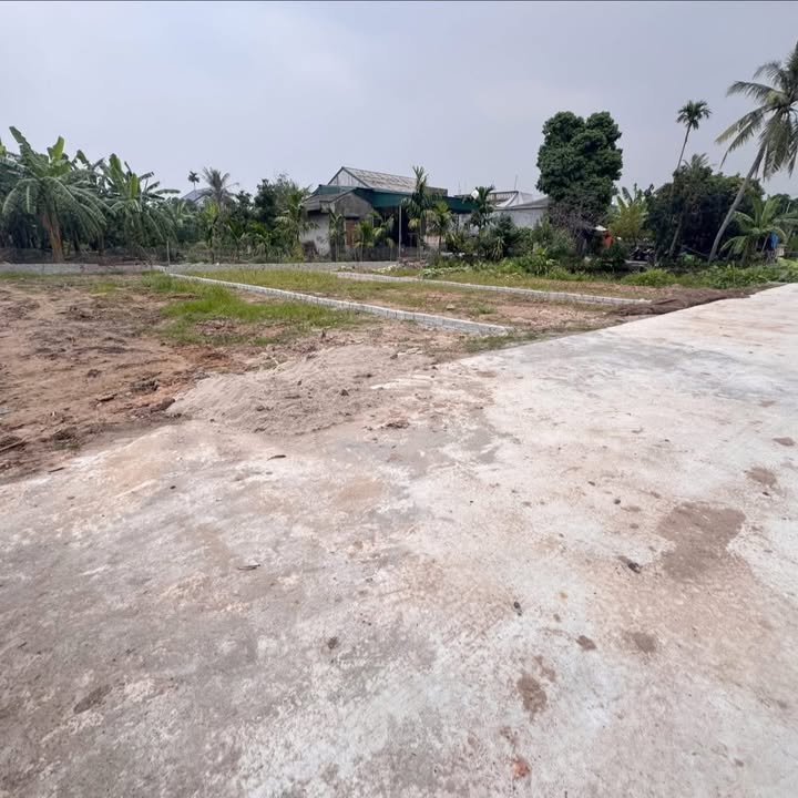 Đất nền Nho Lâm, Văn Tố, Tứ Kỳ 100m² giá chỉ 500 triệu - Cách đường 391 1km!