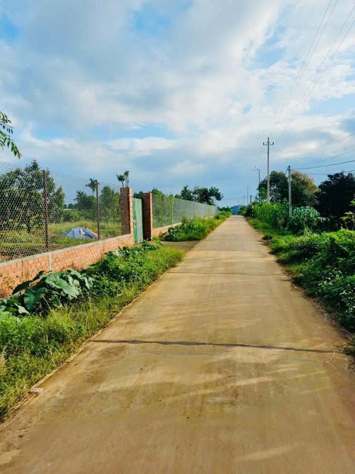 Đất nền Hòa Khánh Buôn Ma Thuột 125m² giá 530 triệu - Sổ đỏ chính chủ ngay!