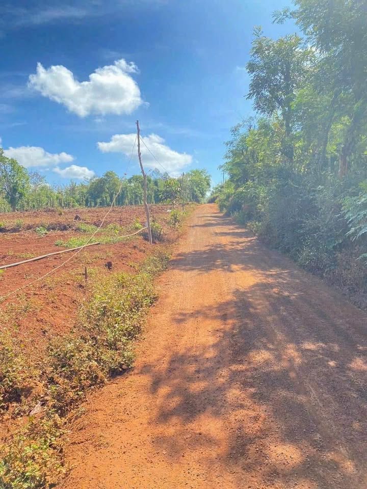 Đất nền Cư Suê, Cư M'gar 250m² giá 400 triệu - Đầu tư sinh lời ngay!