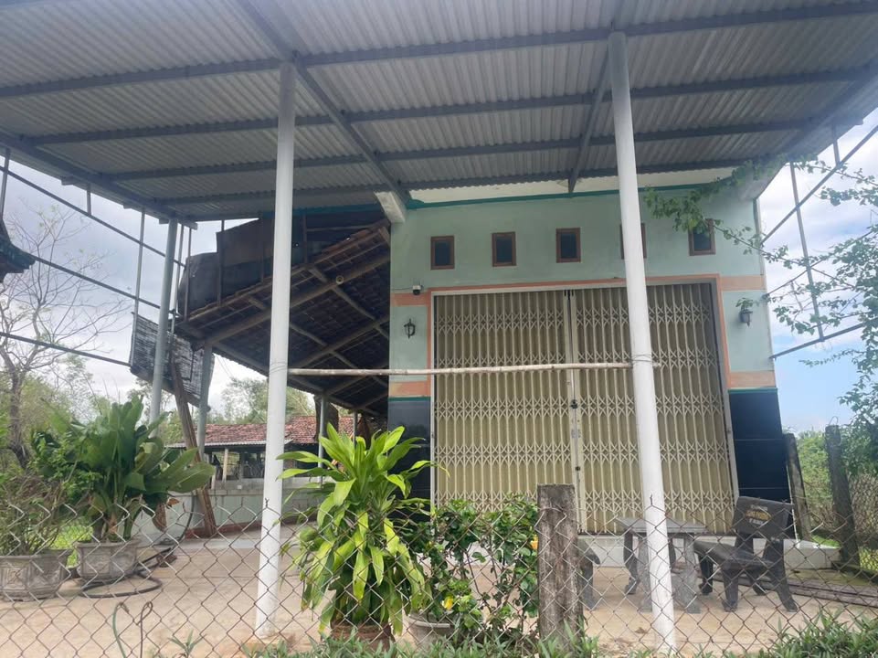 Nhà cấp 4 có vườn tại thôn Trà Sơn, Tây An, 856m² giá 2.4 tỷ - Đường xe tải chạy