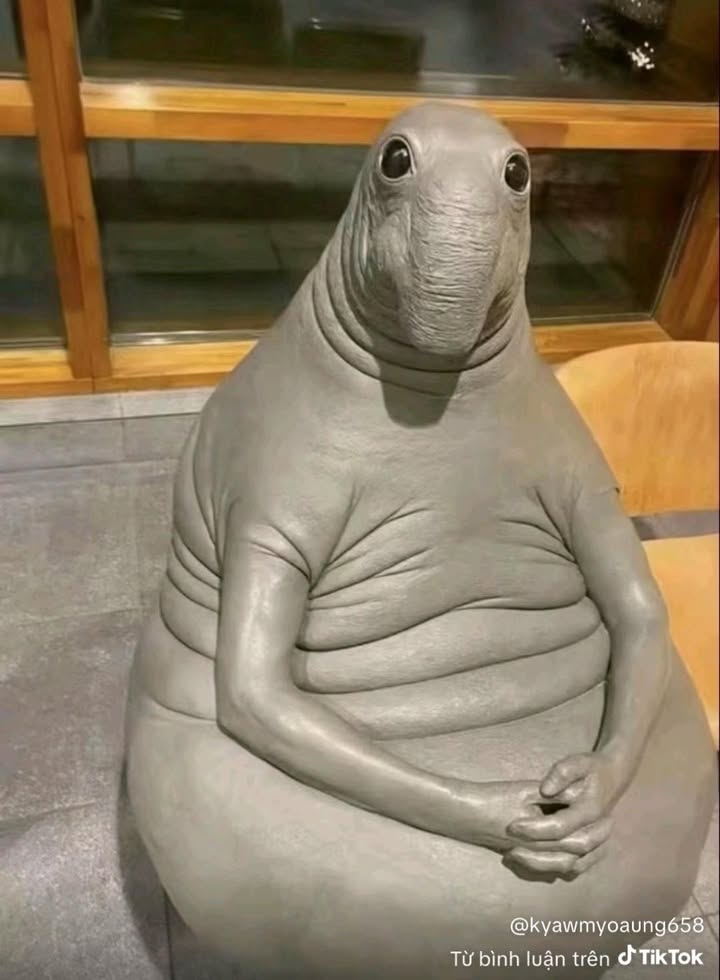 Căn hộ Tân Thịnh Vinh 66m² giá 2.1 tỷ - Full nội thất, sẵn sàng vào ở!