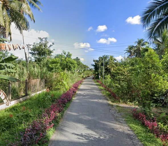 Đất mặt tiền lộ nhựa xã Sơn Phú, Giồng Trôm 1200m² giá 2.28 tỷ - Sổ đỏ chính chủ!