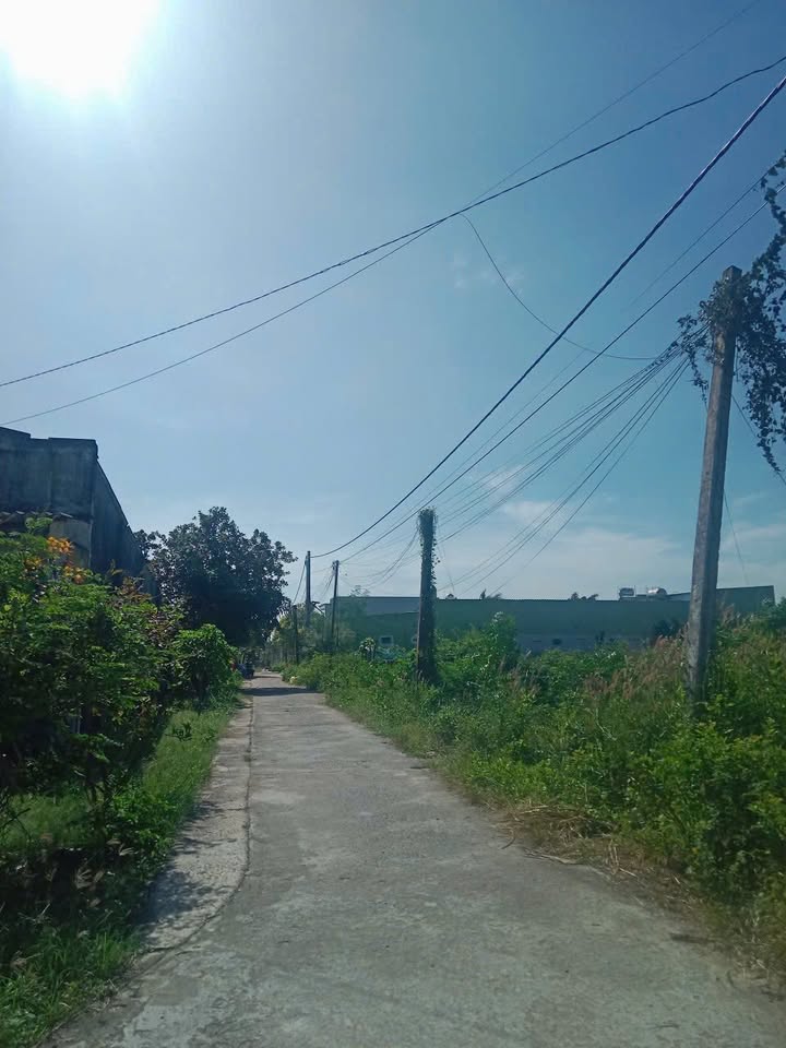 Lô đất thổ cư 172m² tại Tân Phước, La Gi giá chỉ 1.1 tỷ - Đầu tư tiềm năng!