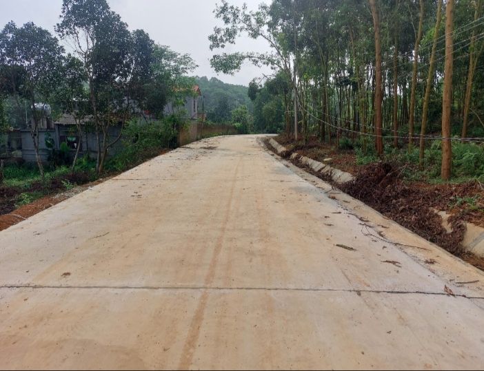 Đất nền 3000m² xã Đào Xá, Phú Thọ - Mặt tiền rộng, giá chỉ vài trăm triệu!