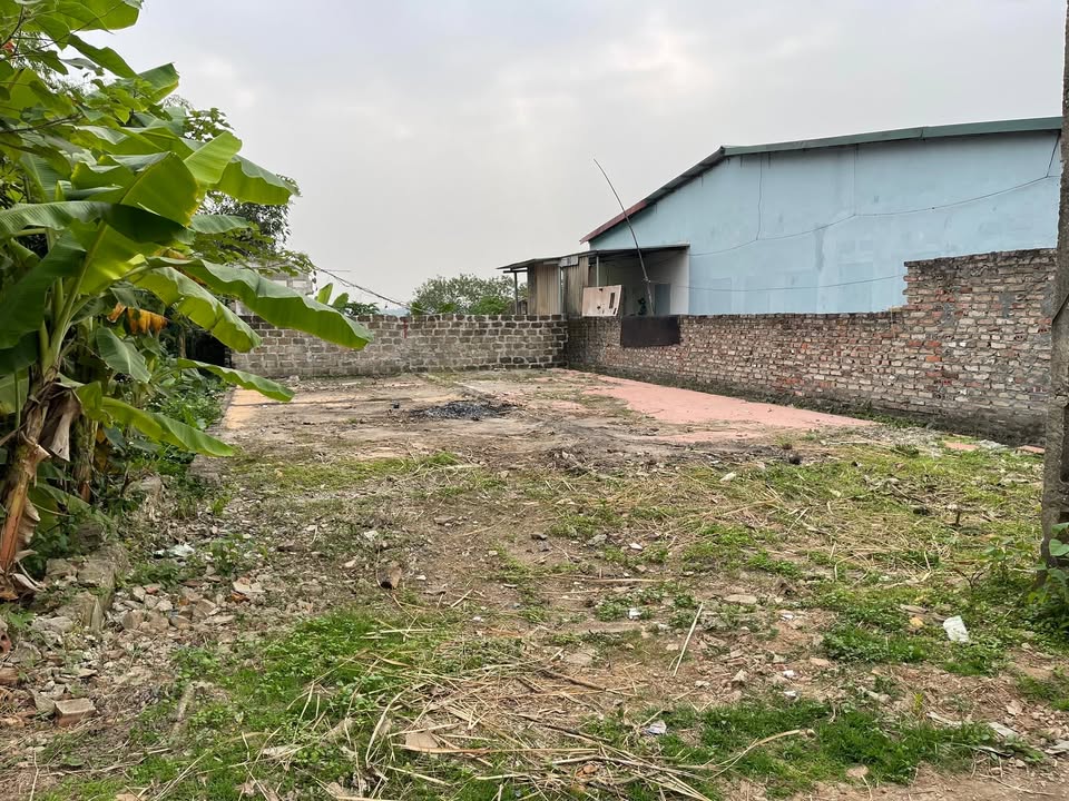 Đất thổ cư Phường Thanh Miếu 67m² giá 1 tỷ - Vị trí đẹp, ô tô vào tận nơi!