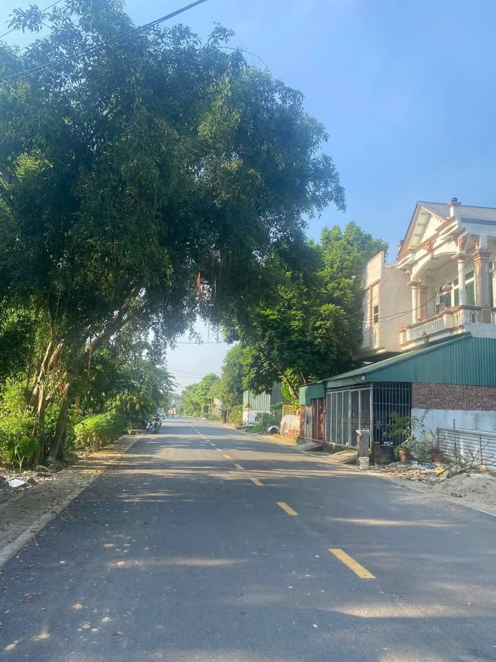 Đất nền 3 mặt đường Thanh Đình 100m² giá chỉ 1 tỷ - Đầu tư sinh lời nhanh!