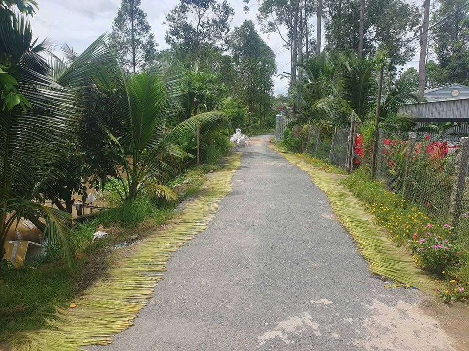 Đất nông nghiệp 2000m² tại Mỹ Hòa, Long Xuyên - Giá 1.8 tỷ, Mặt tiền rộng 17m!