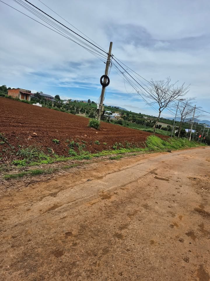 Đất nền Liên Hà Lâm Hà 1,5 sào giá chỉ 600 triệu - Cơ hội đầu tư tuyệt vời!