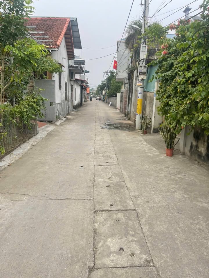 Đất kinh doanh ô tô tránh tại Liên Bạt, 80m² giá 3 tỷ - Cơ hội vàng cho nhà đầu tư!