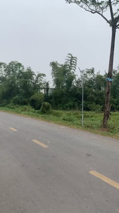 Đất Xóm 1, Quỳnh Tam 126m² giá 1 tỷ - Mặt đường lộ 538 thuận lợi!