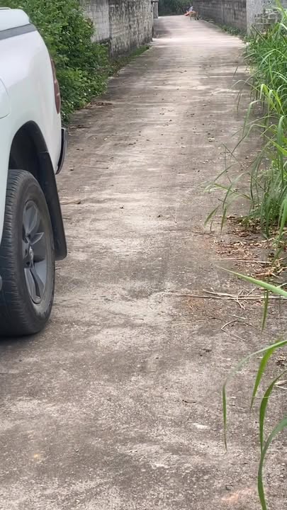 Đất nền Xóm Trung Đông, xã Nghĩa Trung 270m² giá chỉ 400 triệu - Cơ hội đầu tư hấp dẫn!