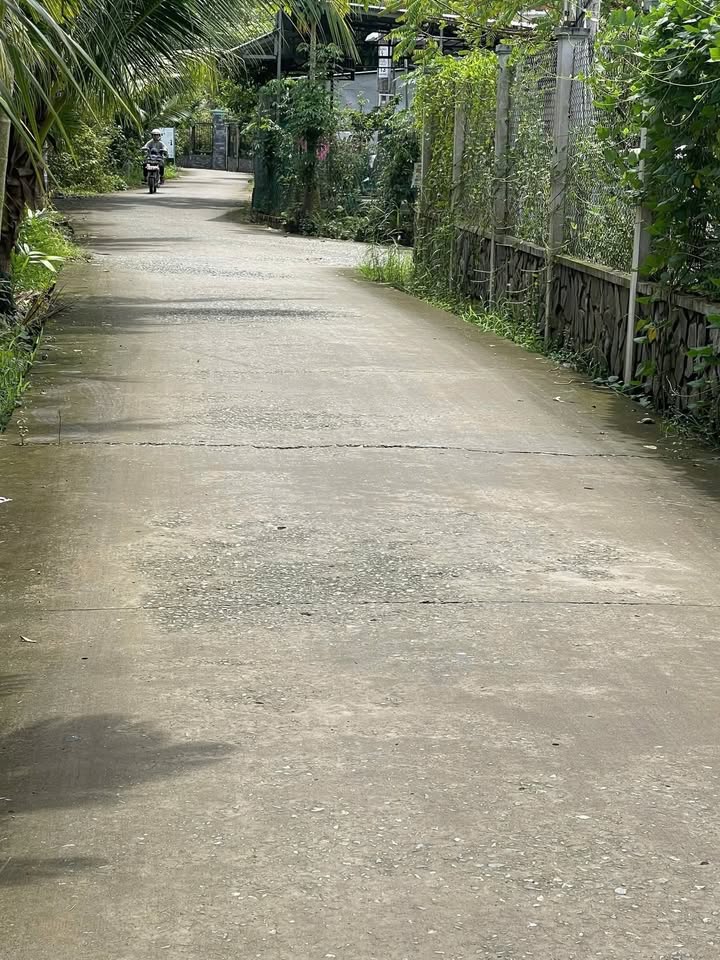 Đất nông nghiệp 2.5 công tại Phú Phụng, Chợ Lách - Giá chỉ 1.45 tỷ VND!