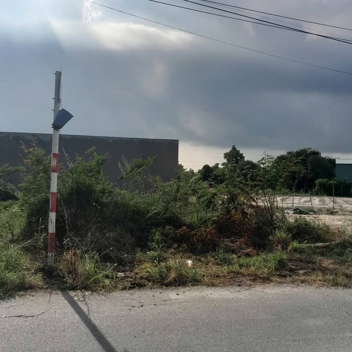 Đất thổ cư mặt tiền 132m² tại Phước Hội - Giá 1.55 tỷ, bớt lộc cho khách thiện chí!