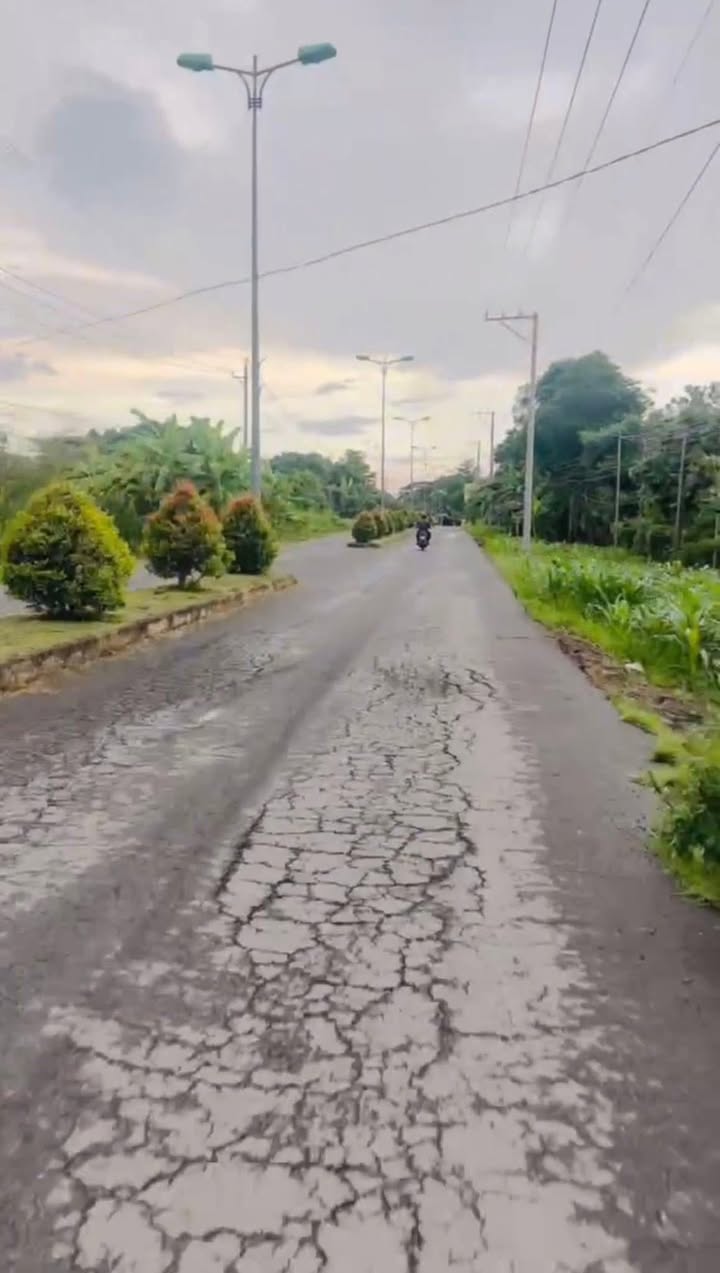 Đất nền mặt tiền đường nhựa xã Trà Cổ, 456m² giá 2 tỷ - Cơ hội đầu tư hấp dẫn!