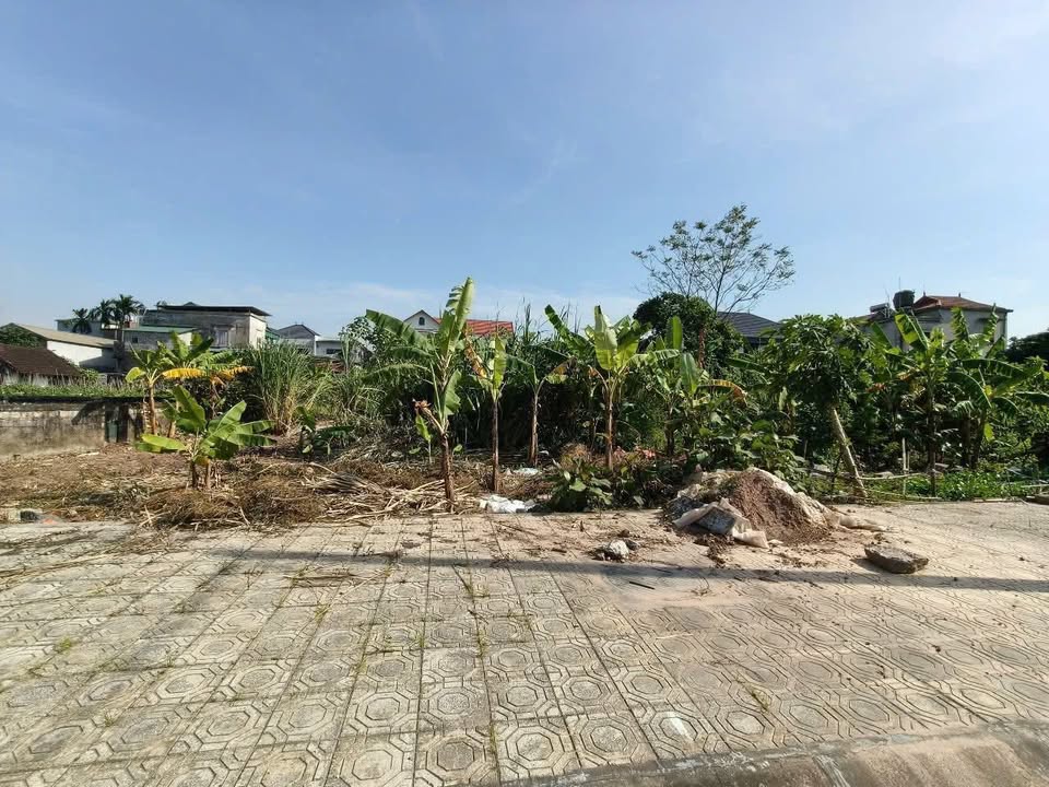 Đất đấu giá tổ 7 Lê Hồng Phong 88.7m² giá 2.2 tỷ - Cơ hội đầu tư lý tưởng!