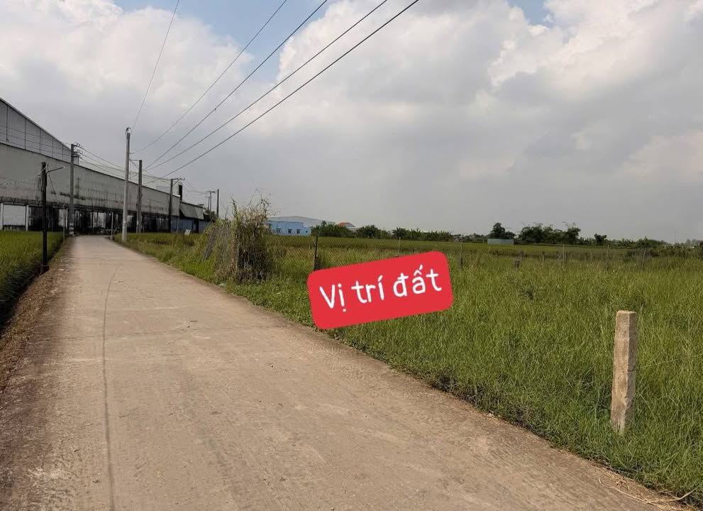 Đất thổ cư 125m² tại Ấp 3, Lạc Tấn, Tân Trụ - Giá chỉ 570 triệu, công chứng ngay!