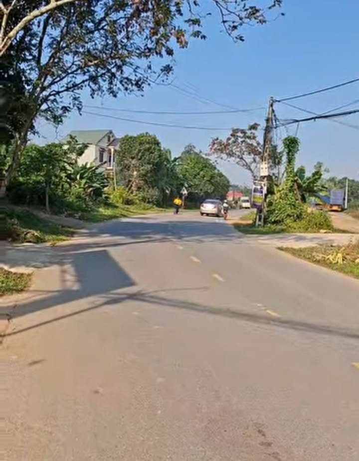 Đất mặt đường tỉnh lộ 310, xã Phù Ninh, 80m² giá 1 tỷ - Đầu tư sinh lời ngay!