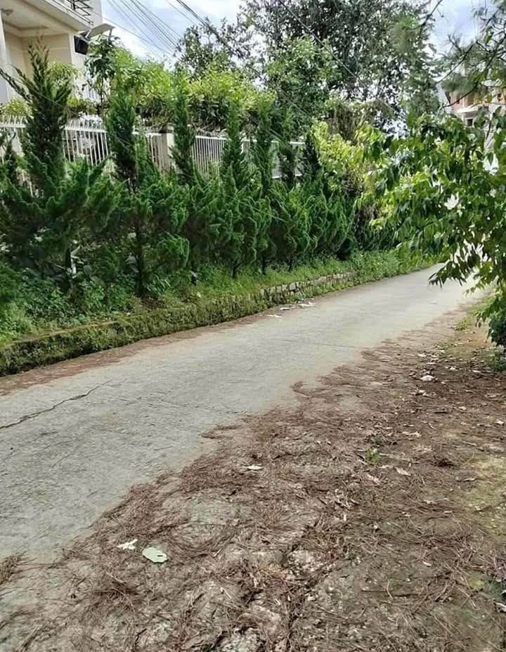 Đất biệt thự Lâm Viên Đà Lạt 257,57m² giá 7,9 tỷ - View đẹp, chính chủ!