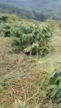 Đất nền 6 sào Quảng Tín, Đắk R'Lấp giá chỉ 1 tỷ - Sổ đỏ chính chủ!