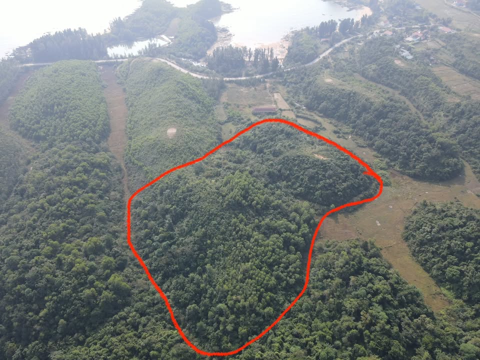 Đất rừng sản xuất 3,7ha tại xã đảo Cái Chiên, Quảng Ninh - Vị trí đẹp cách biển 50m!