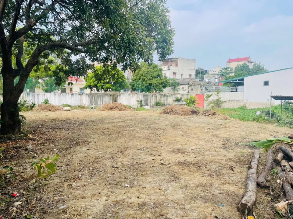 Đất ở Phường Đông Tân 394m² giá chỉ 2 tỷ - Đầu tư sinh lời bền vững!