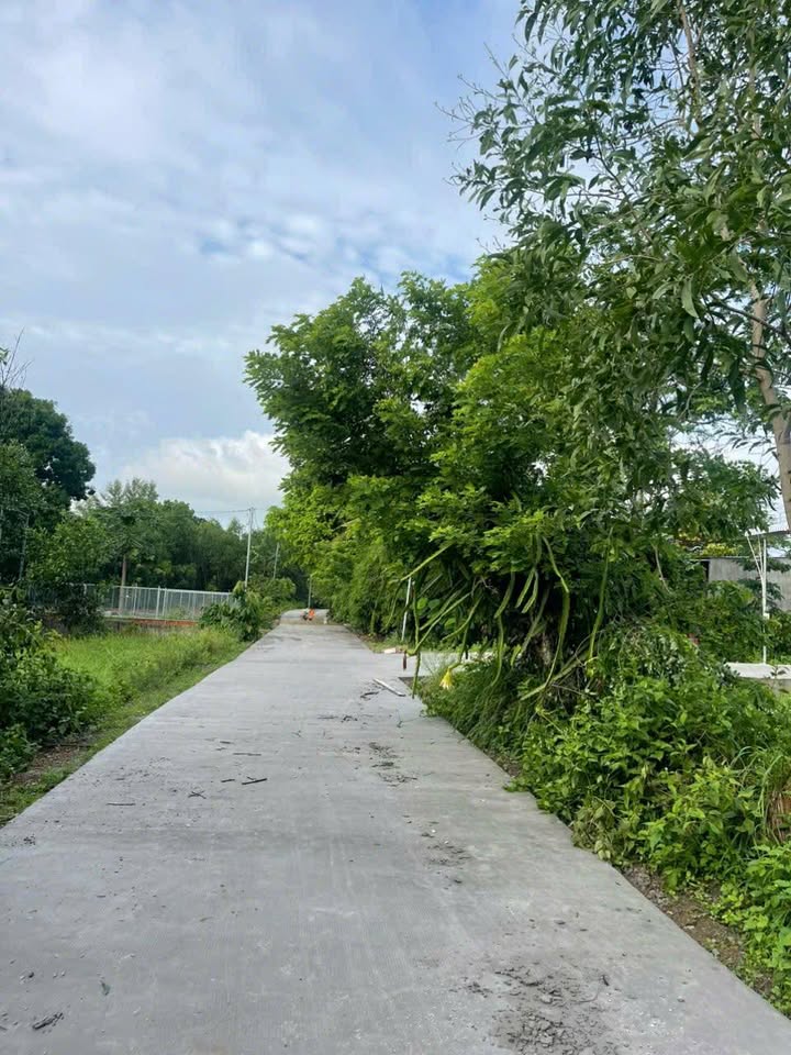 Đất thổ cư 125m² Xuân Trường chỉ 400 triệu - Môi trường sống lý tưởng!