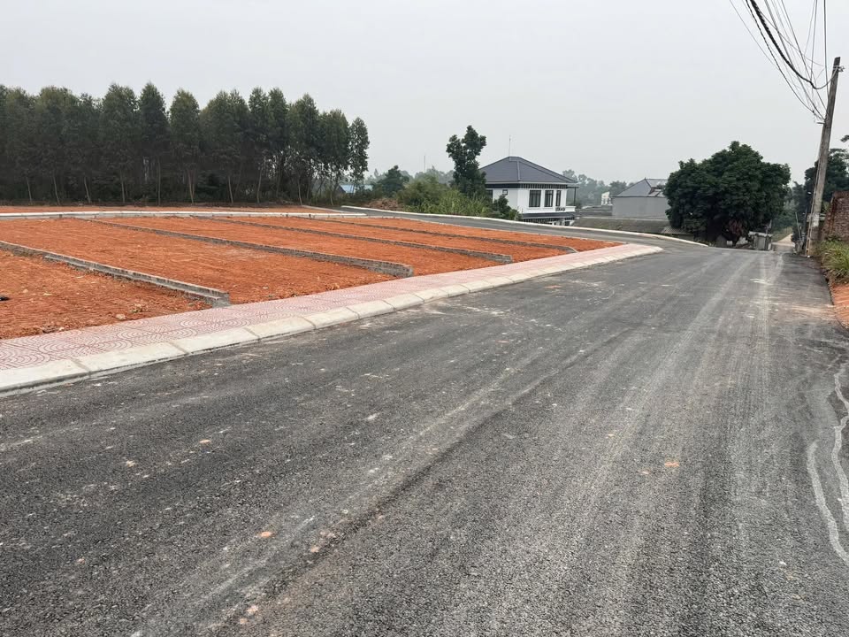 Đất nền Yên Sơn, Tam Dương 80m² giá 1.6 tỷ - Cơ hội đầu tư hấp dẫn!
