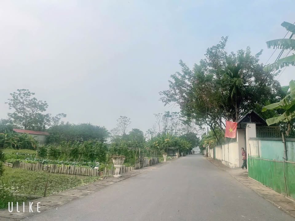 Đất nền Vân Hội, Tam Dương 700m² giá 9.1 tỷ - Sổ đỏ chính chủ, đường nhựa rộng 16m!