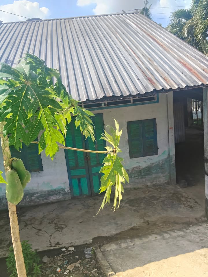 Nhà cấp 4 tại phường Đại Thành, Cần Thơ - Diện tích 181m² giá chỉ 490 triệu!