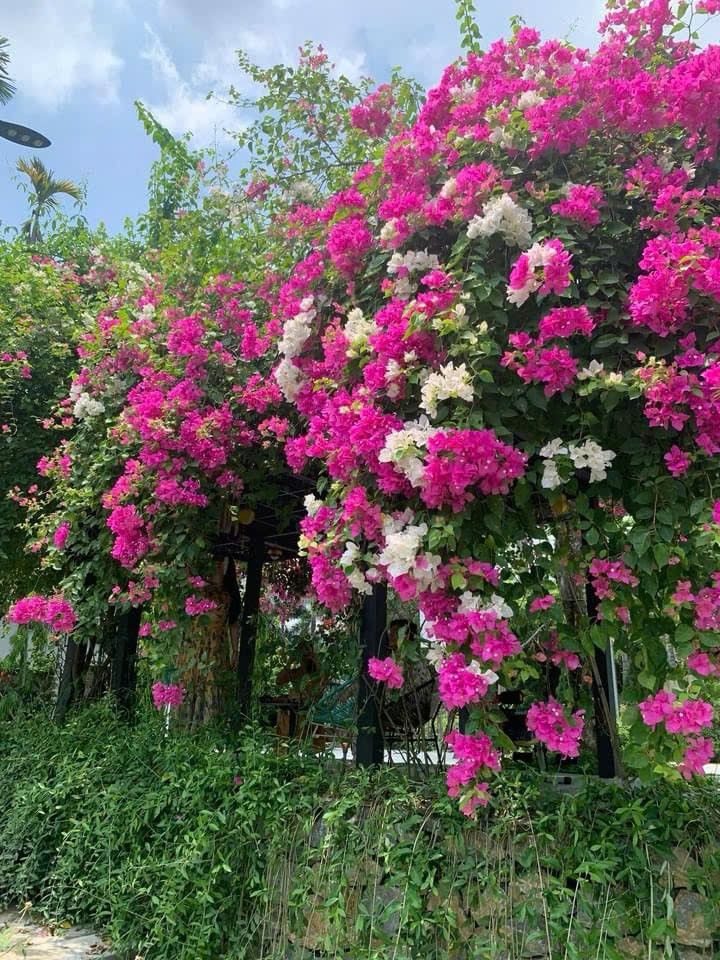 Đất nền Cư Yên, Lương Sơn 400m² giá 2.2 tỷ - Đầu tư sinh lời hấp dẫn!