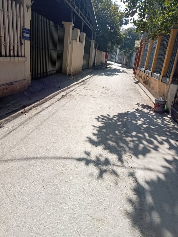 Đất nền Giang Biên 50m² giá 5.3 tỷ - Ô tô vào tận nhà, vị trí đắc địa!