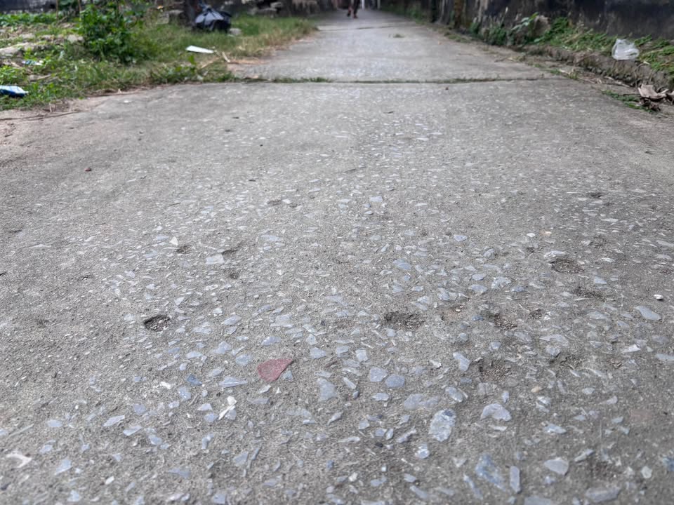 Đất nền xã Hậu Lộc 205m² giá 795 triệu - Cơ hội đầu tư sinh lợi!