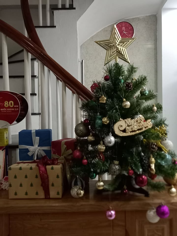 Căn hộ chung cư Vĩnh Hoàng Hoàng Mai 68m² giá 11 triệu - Full nội thất, sẵn sàng vào ở!