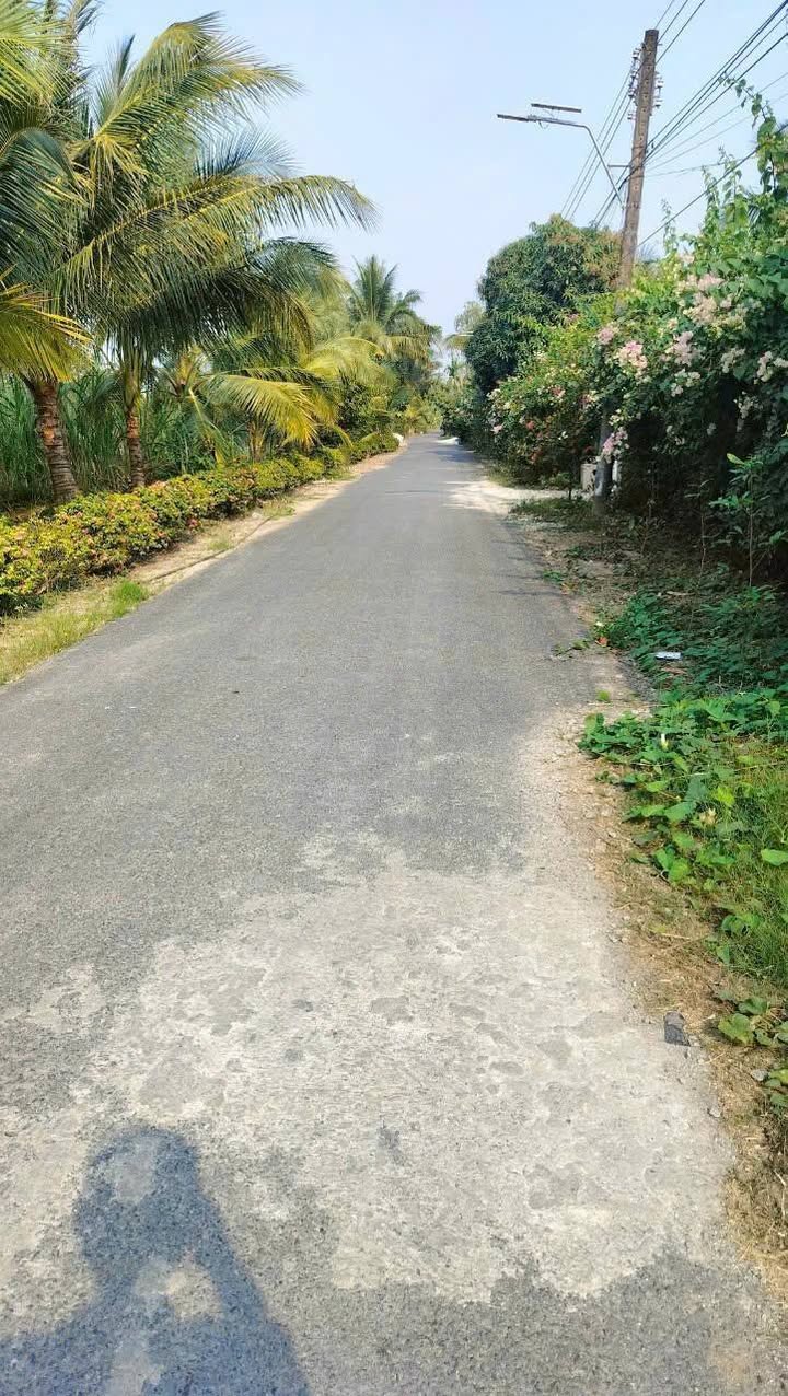 Đất vườn Định Mỹ Thoại Sơn 695m² giá 1.8 tỷ - Kinh doanh hiệu quả, nghỉ dưỡng lý tưởng!