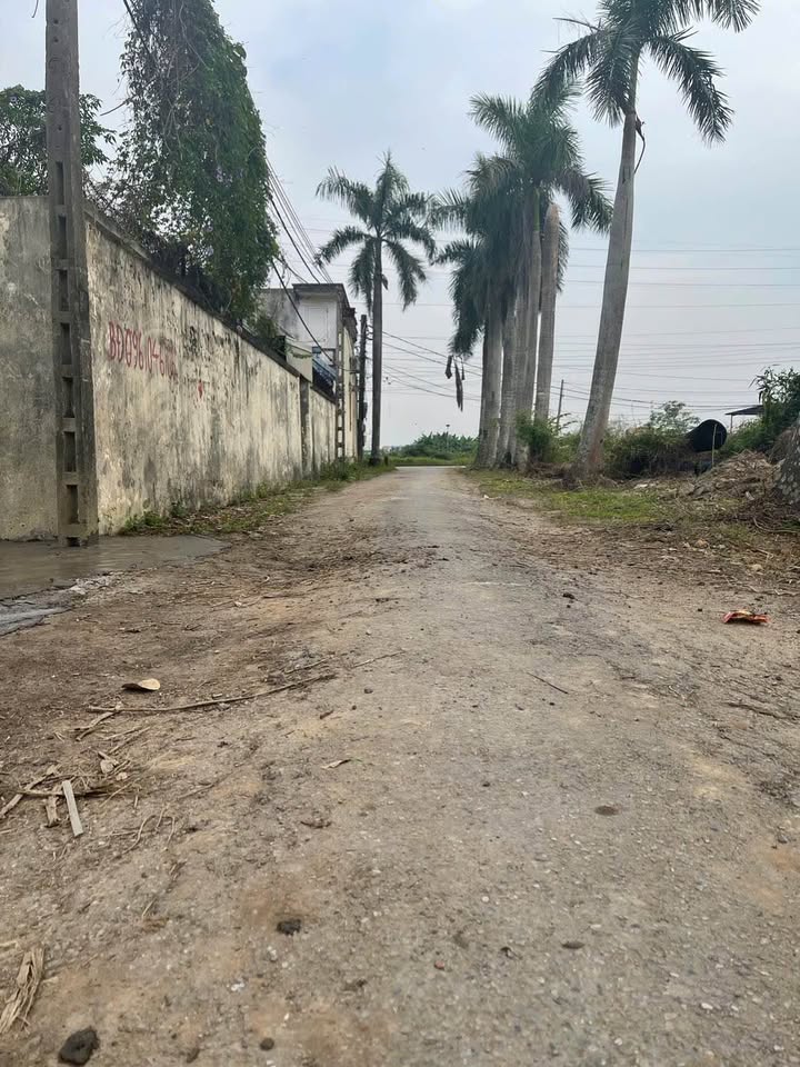 Đất nền khu tái định cư Đặng Cương 180m² giá chỉ 2 tỷ - Cơ hội đầu tư hấp dẫn!