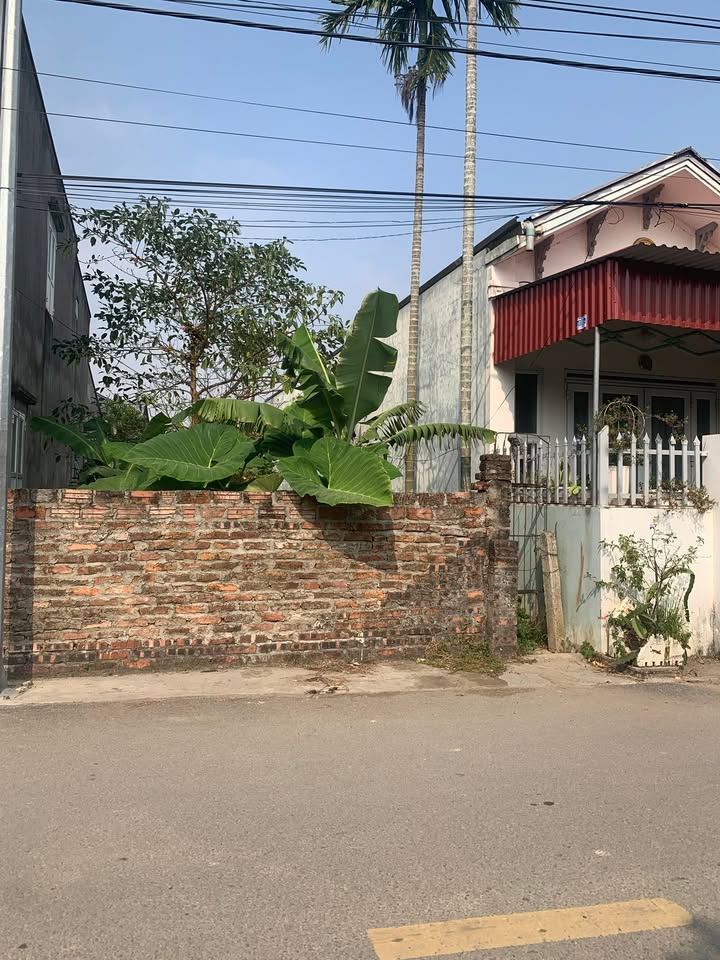 Đất nền Quang Phục Tiên Lãng 86m² giá 1.6 tỷ - Đầu tư sinh lời cao!