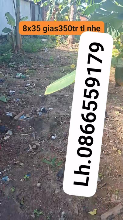 Đất nền Đạ Long 280m² giá 350 triệu - Cơ hội đầu tư tuyệt vời!