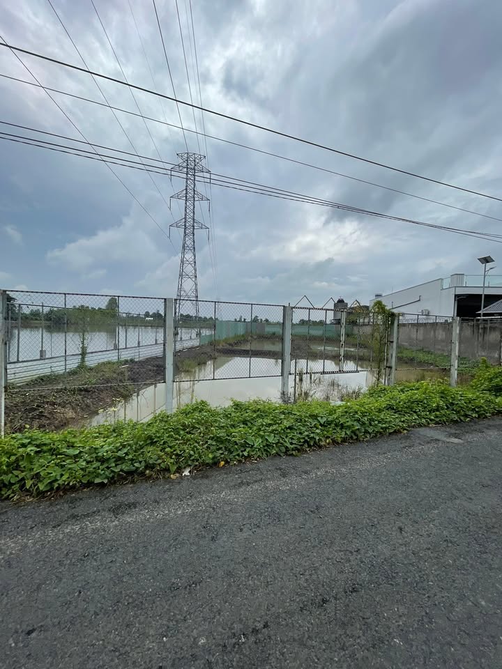 Đất mặt tiền đường Tây An Bờ Hồ, phường Mỹ Thới, 1.003m² chỉ 1 tỷ - Cơ hội đầu tư tuyệt vời!