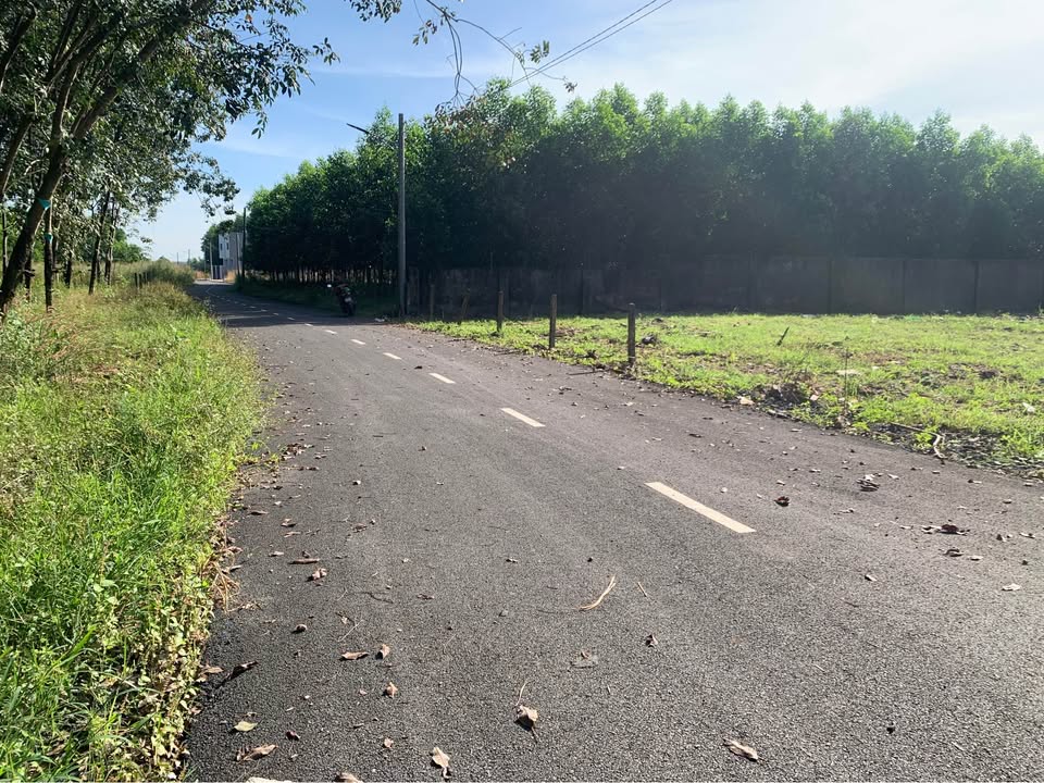 Đất nền An Viễn Trảng Bom 1400m² giá 2.9 tỷ - Đầu tư sinh lời ngay!