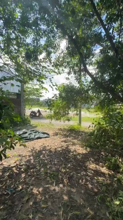 Đất thổ cư Bình Minh, Trảng Bom 147m² giá chỉ 1.3 tỷ - Cơ hội đầu tư tuyệt vời!