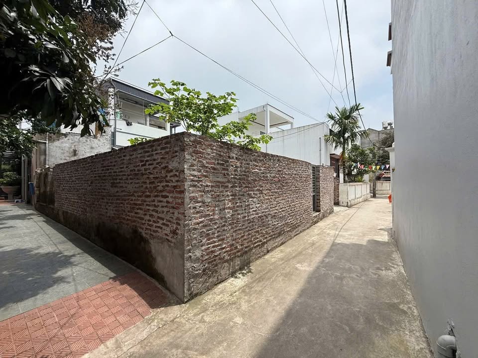 Đất thổ cư xã Tam Hưng, Thanh Oai 61.5m² giá 4 tỷ - Đầu tư sinh lời ngay!