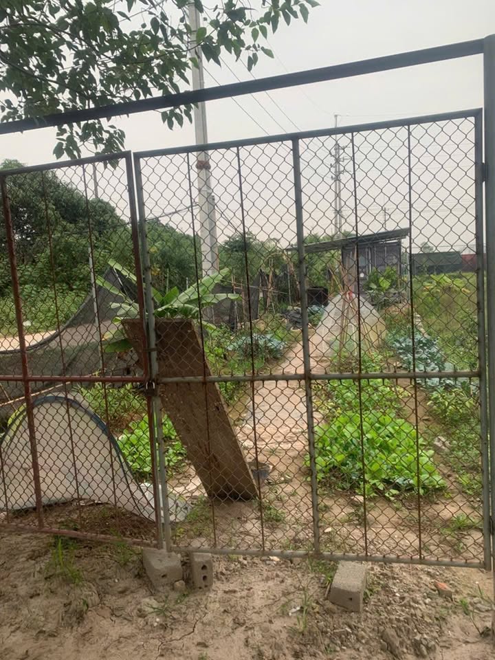 Đất nền thổ cư tại xã Quất Động, Thường Tín 150m² giá 950 triệu - Lô góc mặt quốc lộ 1A